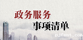 政务服务事项清单