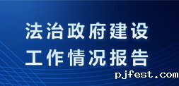 法治政府建设工作情况报告
